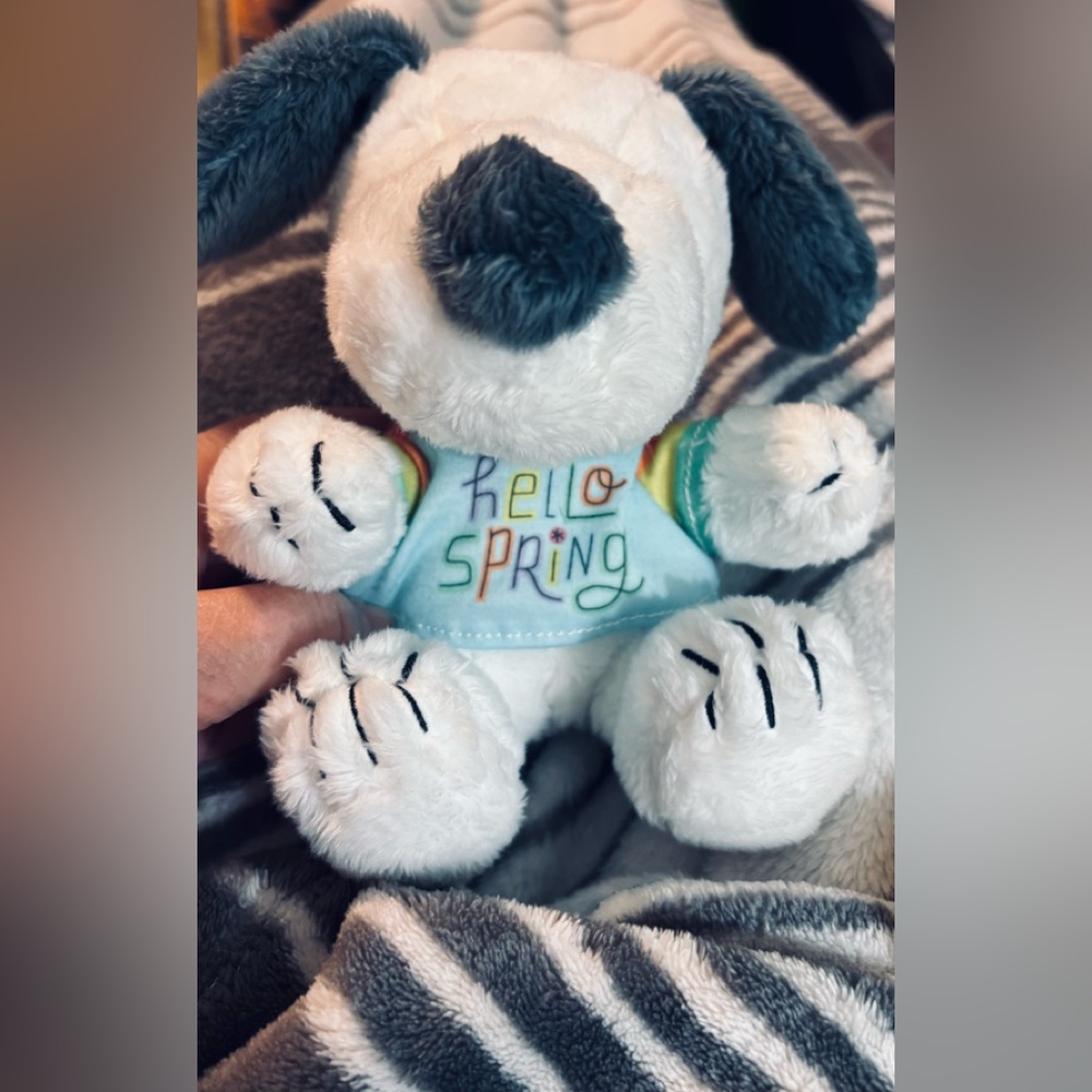 Snoopy Plush Hallmark Collectable Limited Edition